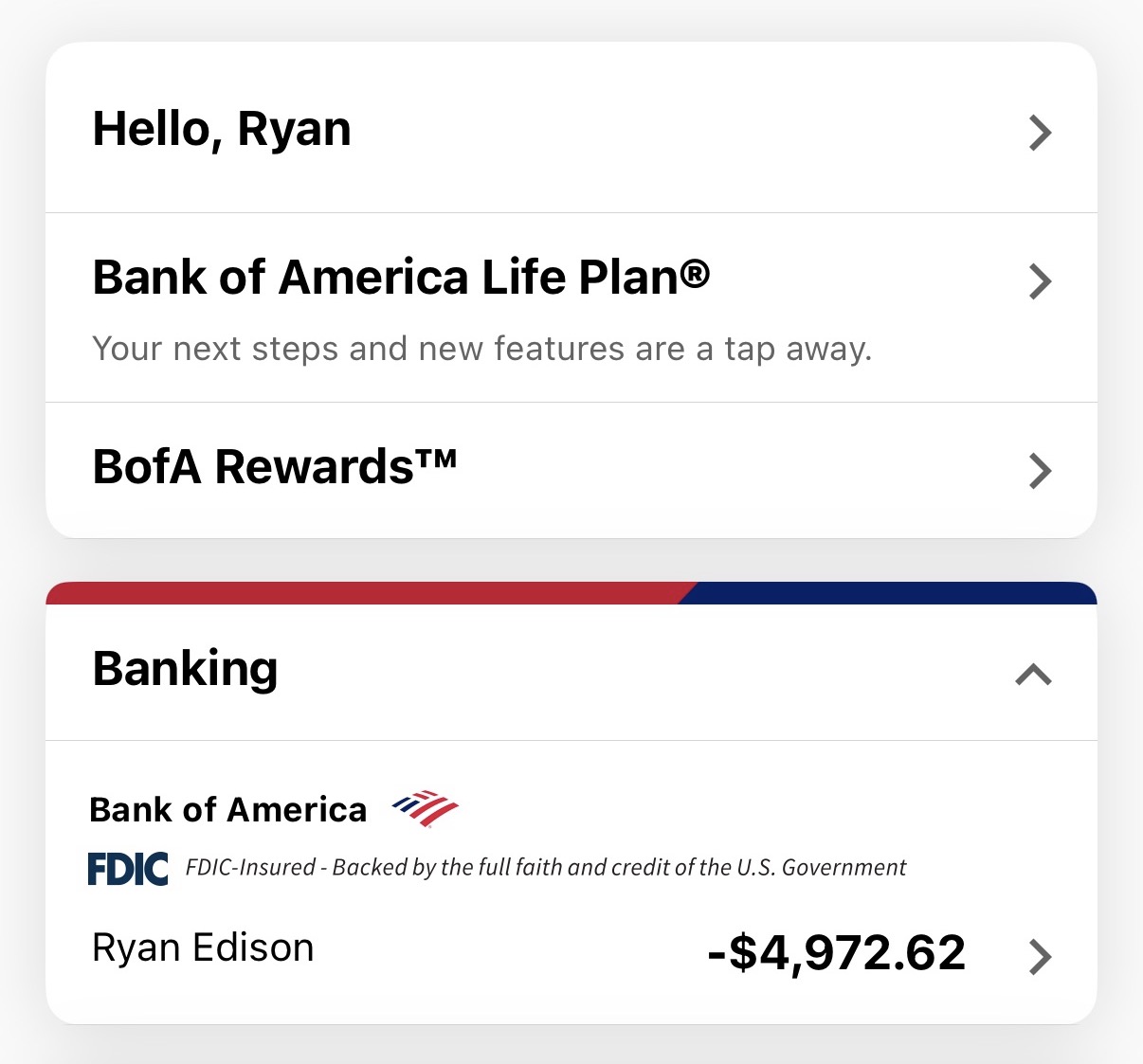 Bank balance in the negative